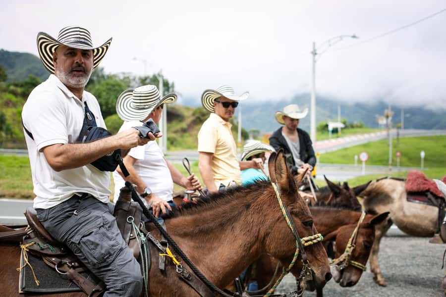 Medellin: Coffee Tour, Horseback Arrival, and Sugar Cane - Learning coffee from seed to brewing