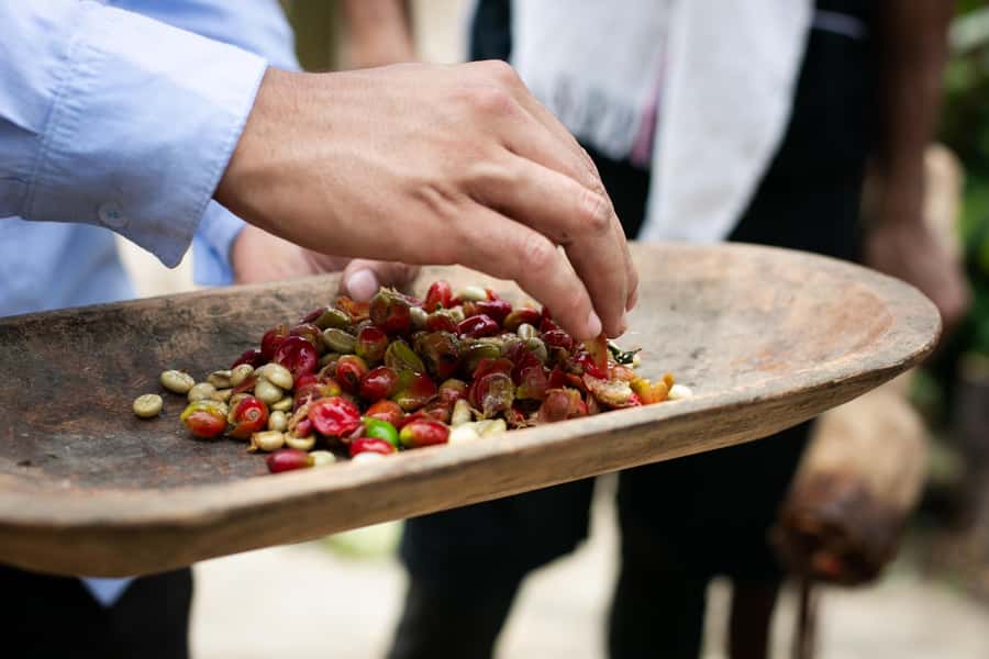 Medellin: Coffee Tour, Horseback Arrival, and Sugar Cane - The Guatapé question