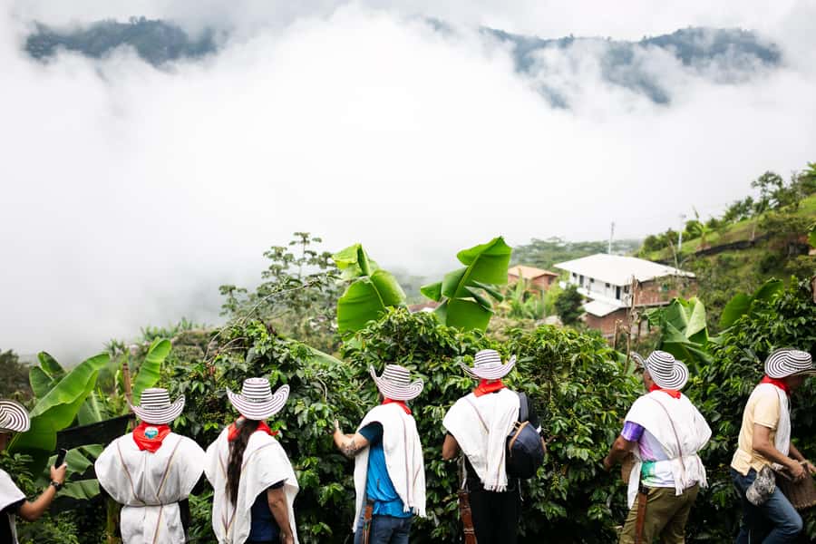 Medellin: Coffee Tour, Horseback Arrival, and Sugar Cane - What the six-hour schedule really feels like