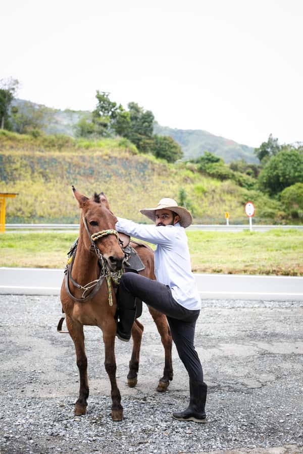Medellin: Coffee Tour, Horseback Arrival, and Sugar Cane - Who will enjoy this most