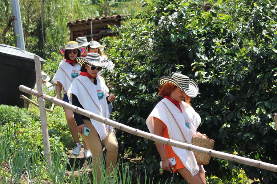 Medellin: Coffee Tour with Hotel Transfers and Meals - Key points to know before you book