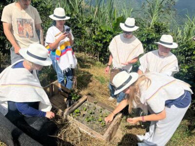 Coffee Tour with Hotel Transfers and Meals