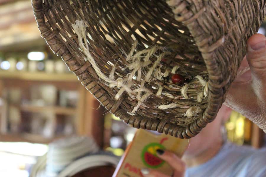 Medellin: Coffee Tour with Hotel Transfers and Meals - Tasting different brewing methods