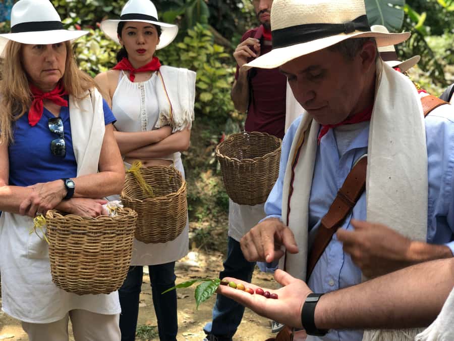 Medellin: Coffee Tour with Transport, Snacks and Tastings - A hearty paisa lunch