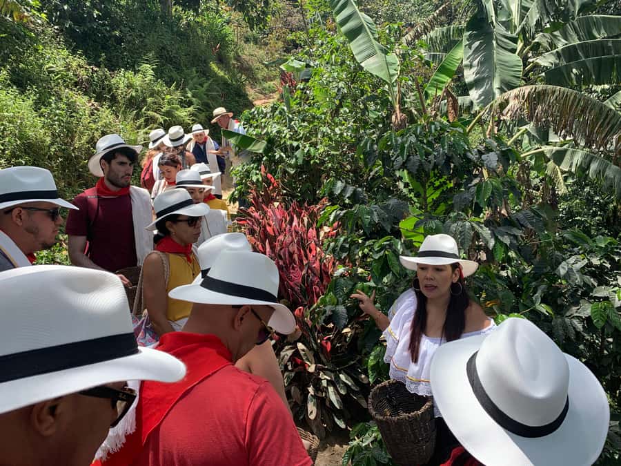 Medellin: Coffee Tour with Transport, Snacks and Tastings - Views, shopping, and the optional horseback ride