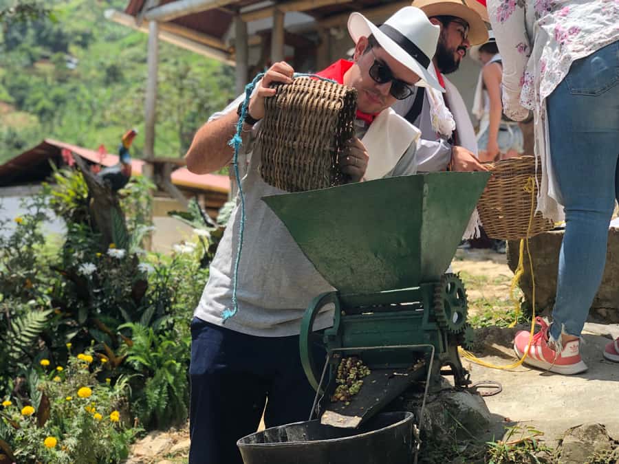 Medellin: Coffee Tour with Transport, Snacks and Tastings - Is the $80 price fair?