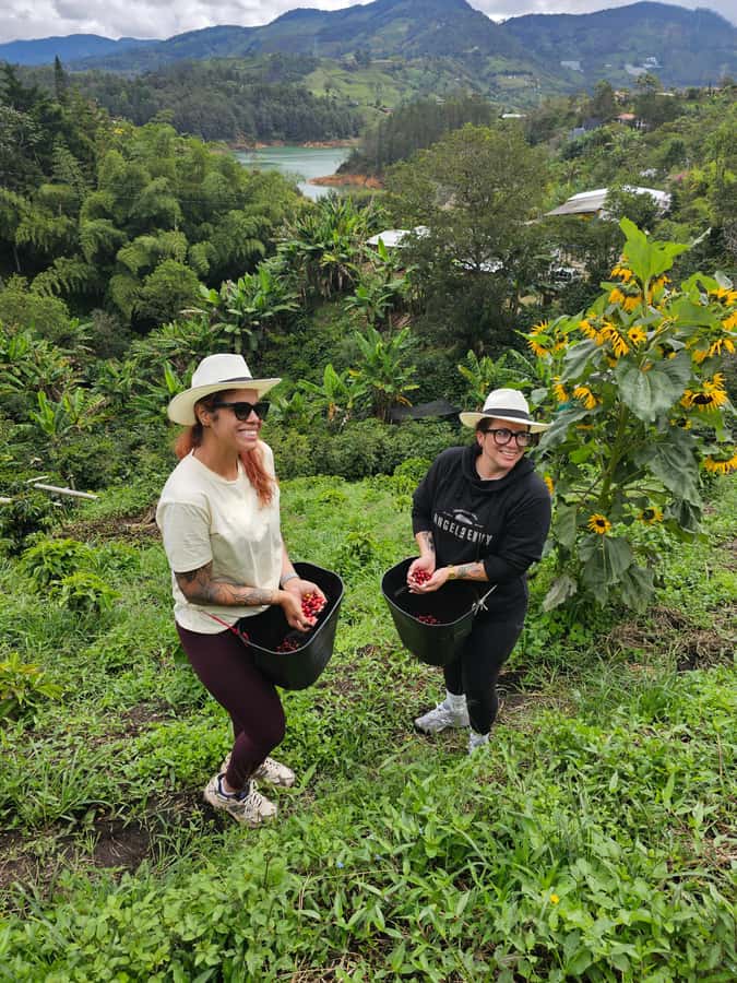 Medellin: Guatape, El Peñol Coffee Farm Private Tour & Fruit - Who should book this experience?