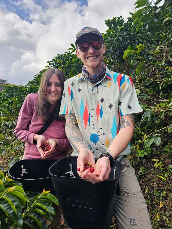 Medellin: Guatape, El Peñol Coffee Farm Private Tour & Fruit - Lunch in Guatapé: useful freedom, extra cost