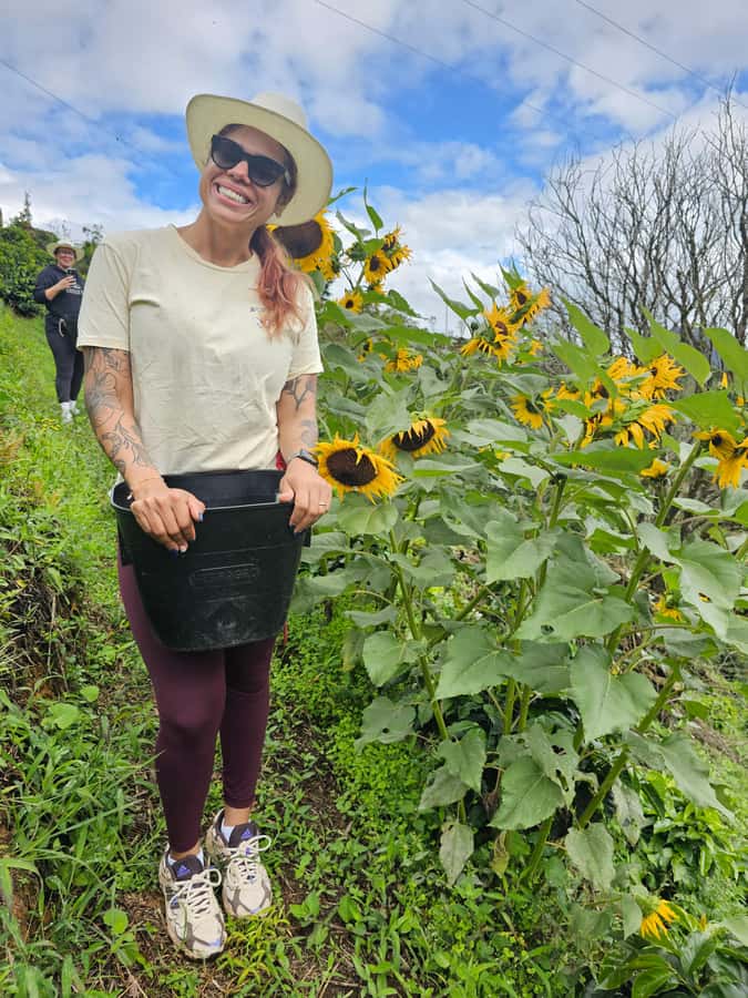 Medellin: Guatape, El Peñol Coffee Farm Private Tour & Fruit - Guides, language, and the private format