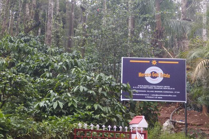 Mercara Gold Coorg Coffee and Spice Estate Tour - What The Mercara Gold Estate Visit Is Really Like