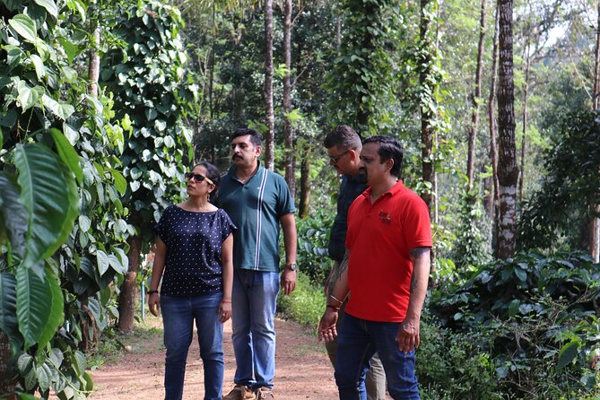 Mercara Gold Coorg Coffee and Spice Estate Tour - Spices, Fruit Trees, And The Working Estate