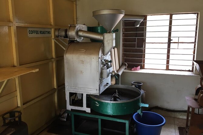 Mercara Gold Coorg Coffee and Spice Estate Tour - Who Will Enjoy This Tour Most?