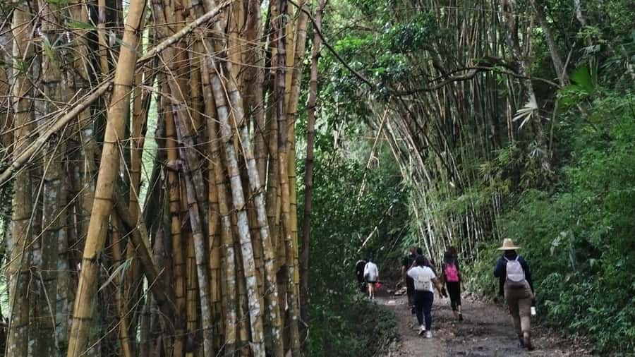 Minca: Hidden Waterfall + Coffee and Cocoa Workshop - Cascada Escondida and the 20-minute approach