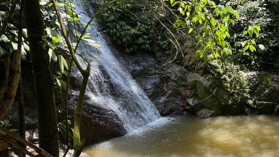 Minca: Hidden Waterfall + Coffee and Cocoa Workshop - Lunch after the forest walk