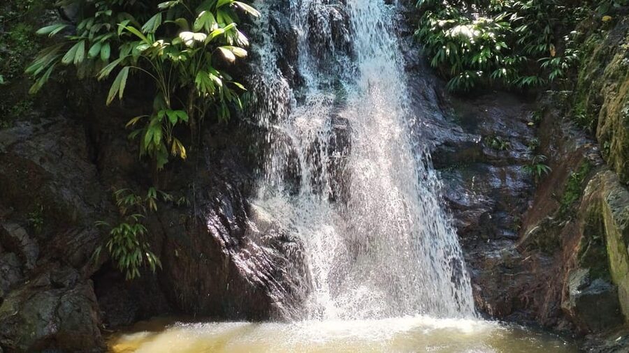 Minca: Hidden Waterfall + Coffee and Cocoa Workshop - Fitness, clothing, and who should skip it