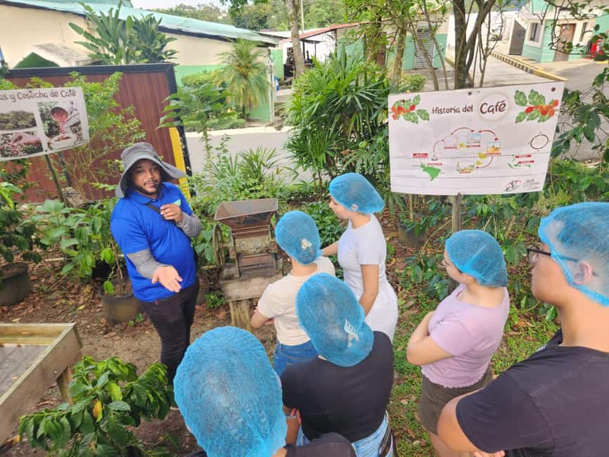 Monte Alto Factory Coffee Tour: Jarabacoa Experience - Why Jarabacoa coffee is worth your time