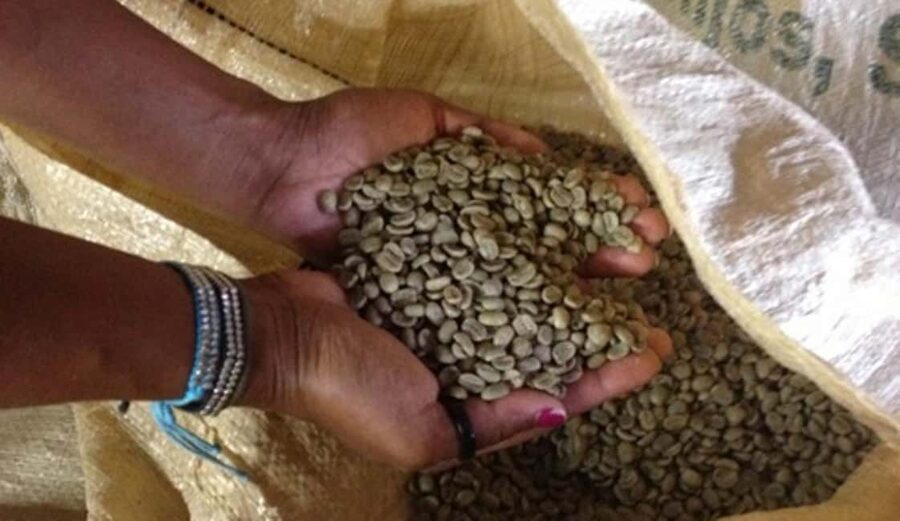 Monte Alto Factory Coffee Tour: Jarabacoa Experience - Who should book this Jarabacoa tour?