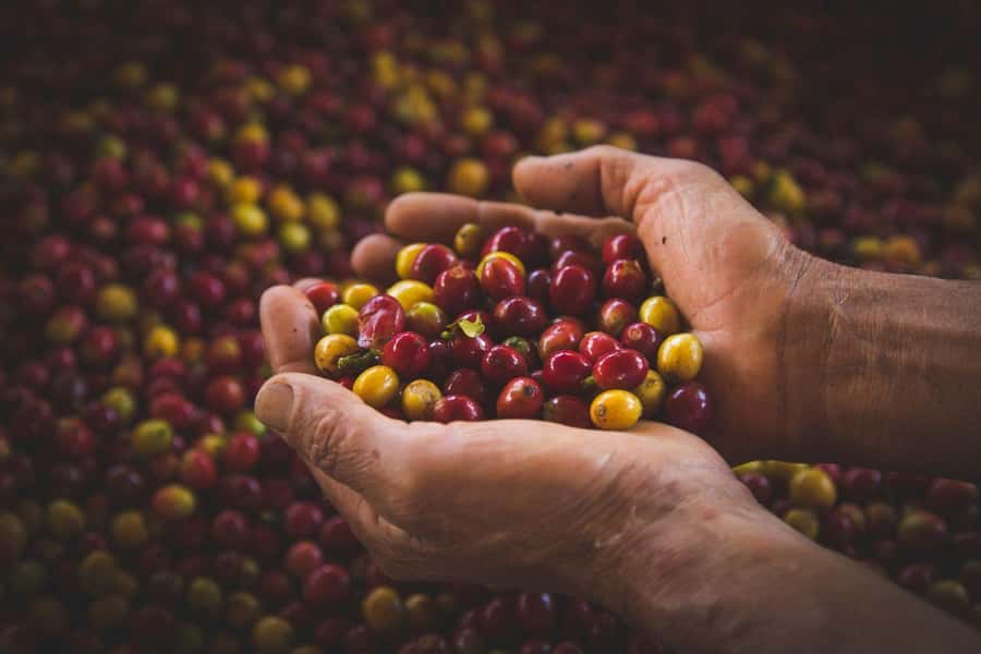 Most complete COFFEE TOUR at local family farm - Leaving Guatape for Antioquia coffee country