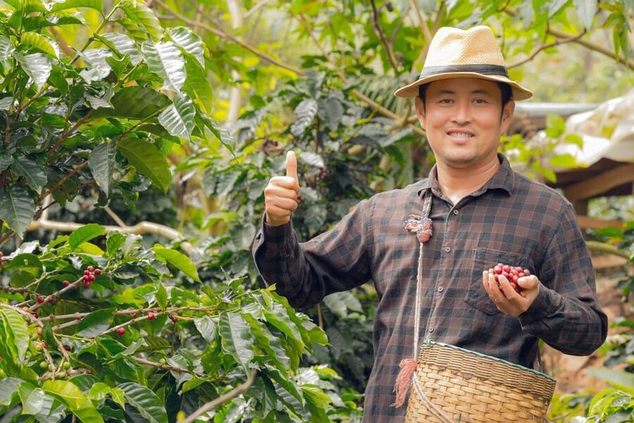 Most complete COFFEE TOUR at local family farm - A guided tasting with aromatic coffee
