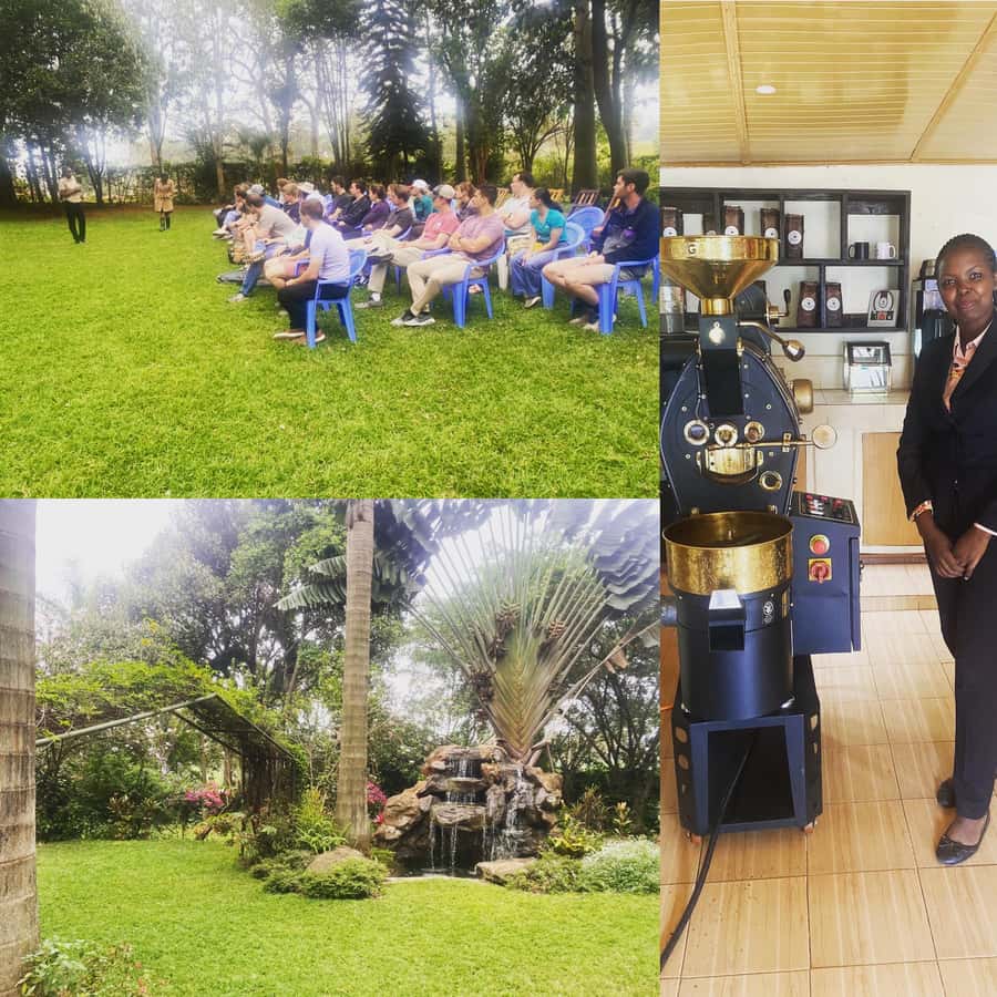Nairobi: Coffee Factory and Farm Tour with Transfer - Why this coffee farm makes a good Nairobi break