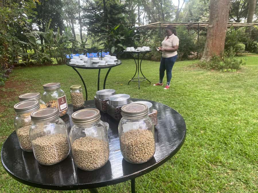 Nairobi: Coffee Factory and Farm Tour with Transfer - Walking through nearly 100 acres of coffee
