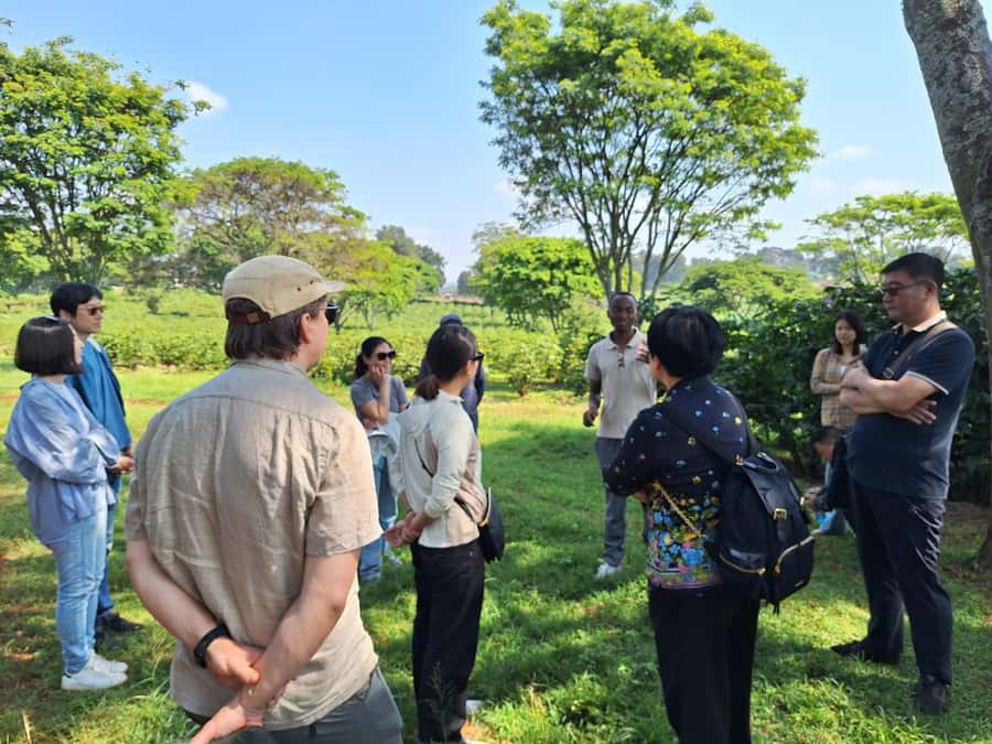 Nairobi: Coffee farm tour with pick up - Why Fairview Estate makes a good Nairobi side trip