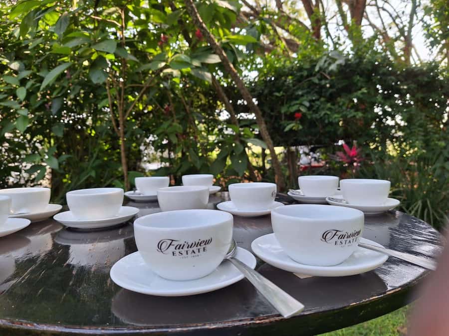 Nairobi: Coffee farm tour with pick up - Walking through the coffee fields