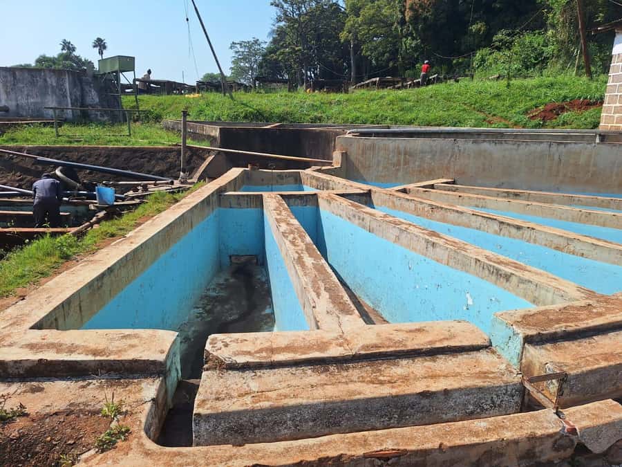 Nairobi: Coffee farm tour with pick up - Patio views and a freshly brewed cup