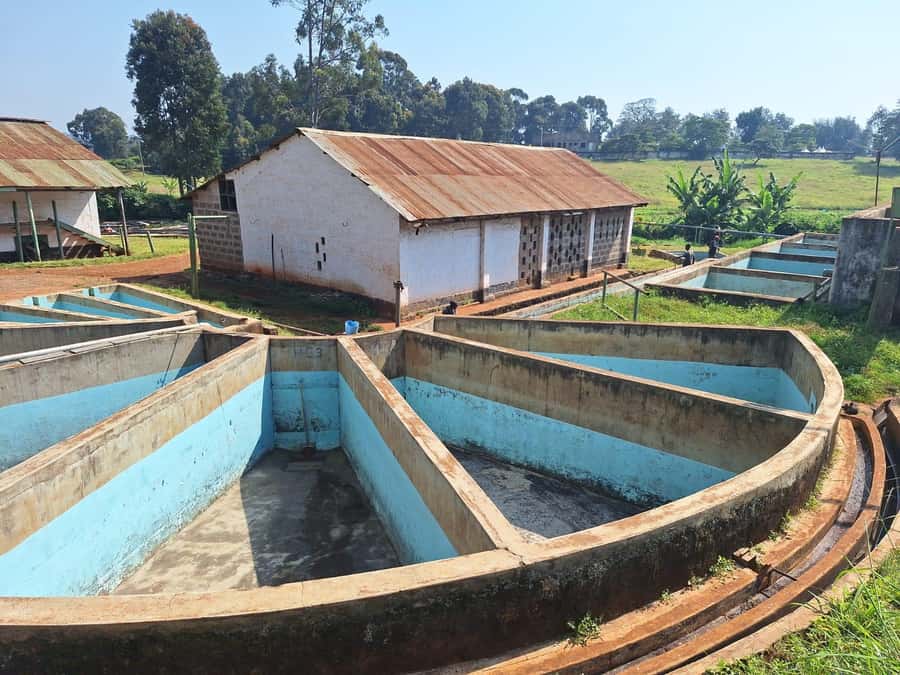 Nairobi: Coffee farm tour with pick up - The shop: coffee to take home