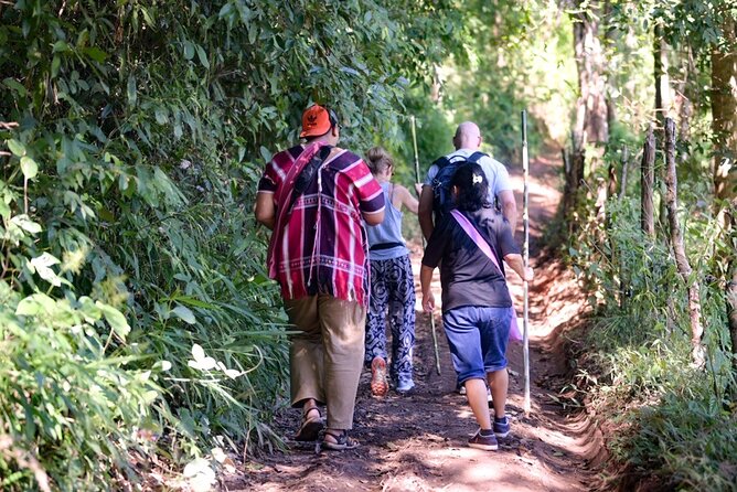 Off the Map Chiang Mai Jungle Coffee Trek Roast and Brew - A coffee day that begins far from Chiang Mai cafes