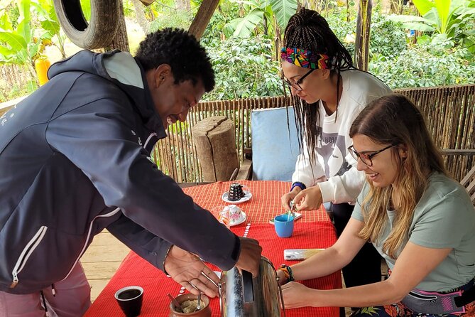 Organic Coffee Tour and Local Food Experience in Arusha - A farm visit with coffee at its center
