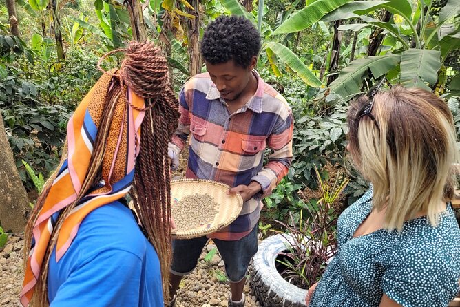 Organic Coffee Tour and Local Food Experience in Arusha - What the private format changes