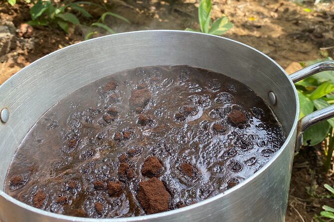 Organic Coffee Tour and Local Food Experience in Arusha - Who should book this coffee and food tour?