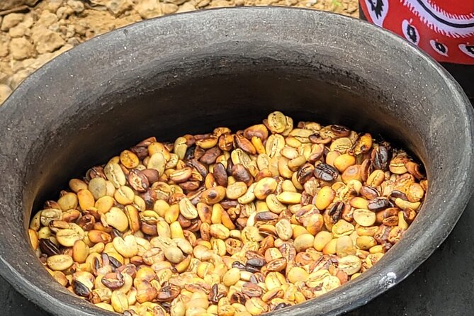 Organic Coffee Tour and Local Food Experience in Arusha - Picking coffee berries beside Mount Meru