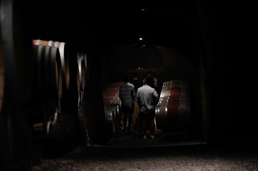 Orvieto: Classic Wine Tasting at Madonna del Latte - Key points at a glance