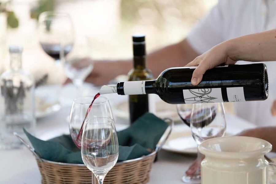 Orvieto: Classic Wine Tasting at Madonna del Latte - Walking through the vineyard for 30 minutes