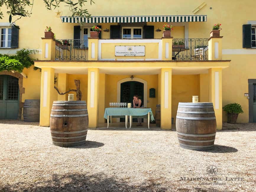 Orvieto: Classic Wine Tasting at Madonna del Latte - Taralli, views, and the right pace
