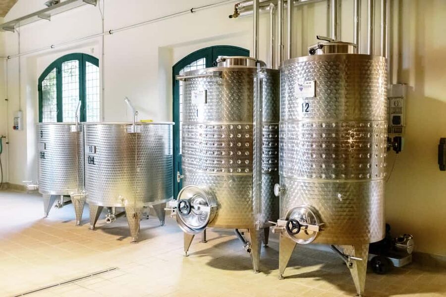 Orvieto: Classic Wine Tasting at Madonna del Latte - How the family atmosphere changes the visit