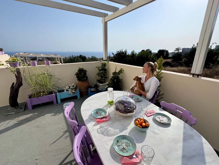 Paphos/ Peyia: Coffee, Cake, and Cuddles with Rescue Puppies - Key points to know before you book