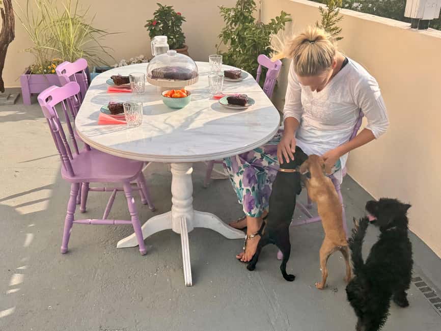 Paphos/ Peyia: Coffee, Cake, and Cuddles with Rescue Puppies - What puppy socialization means here