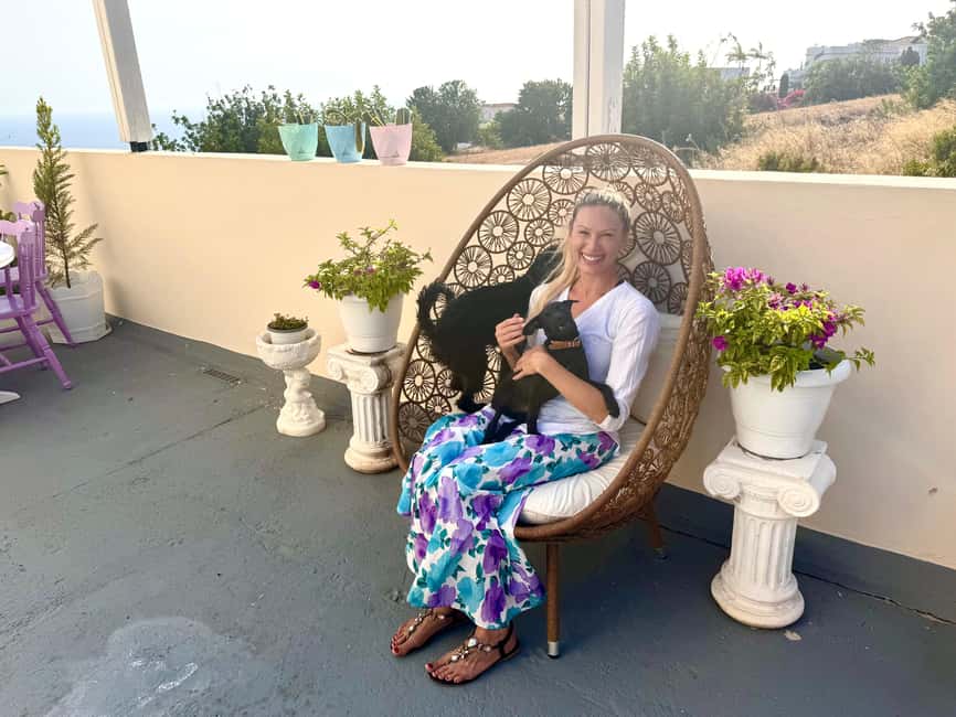 Paphos/ Peyia: Coffee, Cake, and Cuddles with Rescue Puppies - Is this a good choice for your Cyprus itinerary?