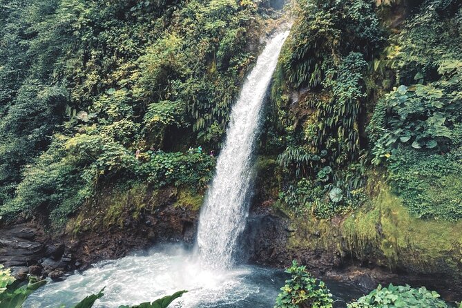 Poás Volcano and Coffee Tour with Tasting and La Paz Falls - Why this makes a good San Jose day trip