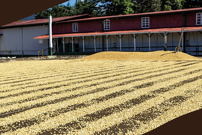 Poás Volcano and Coffee Tour with Tasting and La Paz Falls - The short La Paz Falls stop