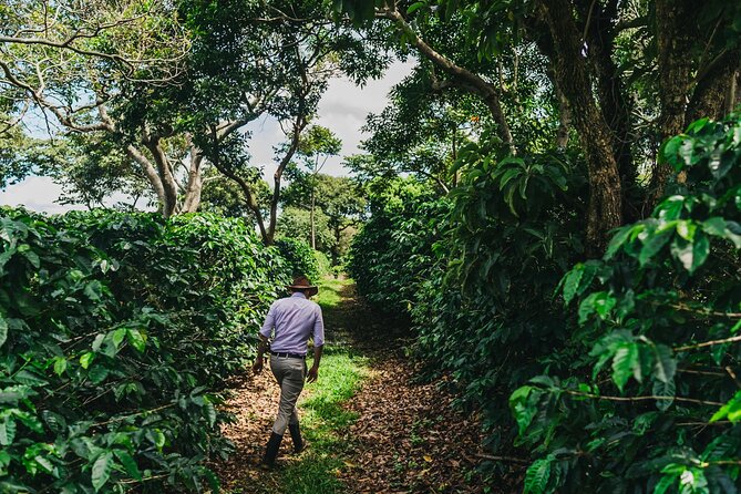 Poás Volcano and Coffee Tour with Tasting and La Paz Falls - Value, group size, and the real time commitment