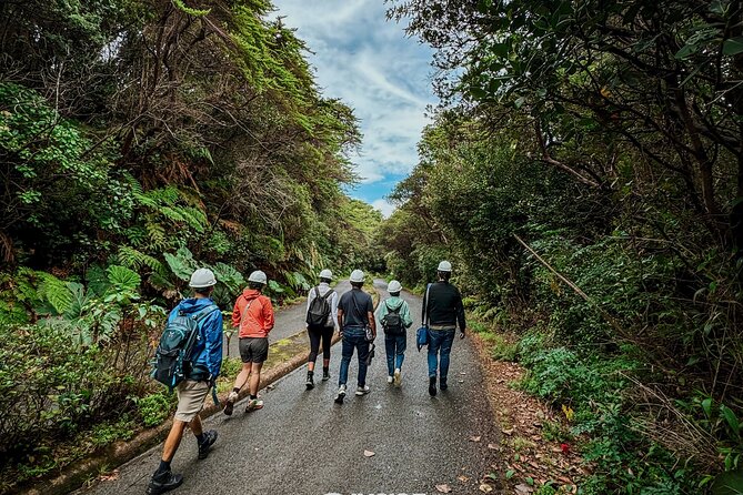 Poás Volcano and Coffee Tour with Tasting and La Paz Falls - The early ride through Poás country