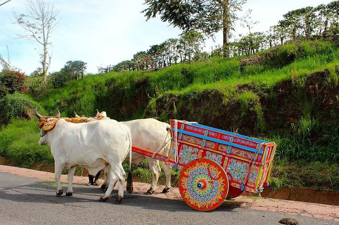 Poas Volcano + Coffee Plantations & La Paz Waterfall Gardens Trip from San Jose - Who should book this tour?