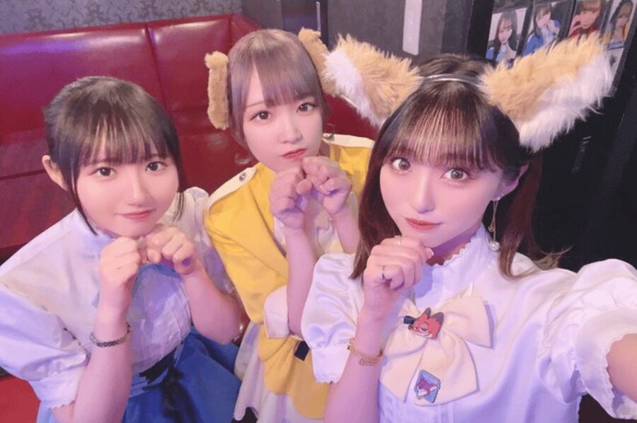 Private Akihabara Anime Game Maid Cafe Tour w/ free pickup - Why a custom Akihabara tour can save you time