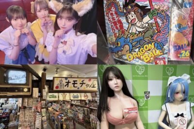 Private Akihabara Anime Game Maid Cafe Tour w/ free pickup