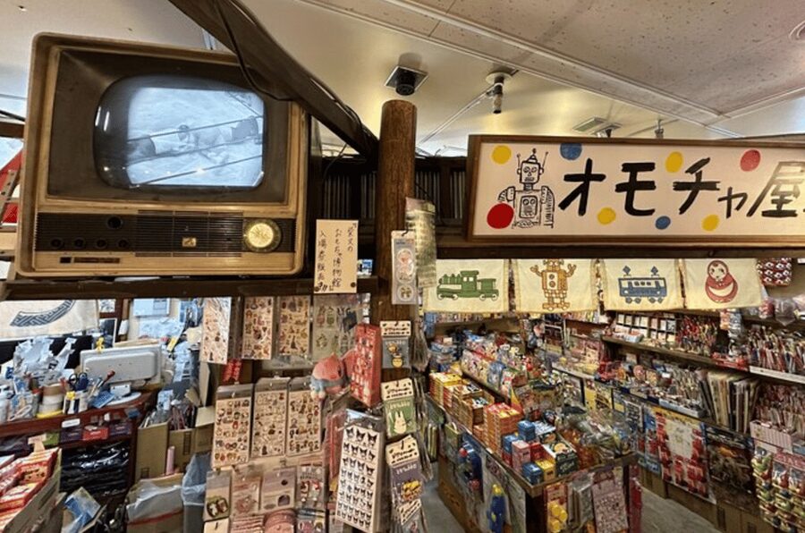 Private Akihabara Anime Game Maid Cafe Tour w/ free pickup - Who will enjoy this most?