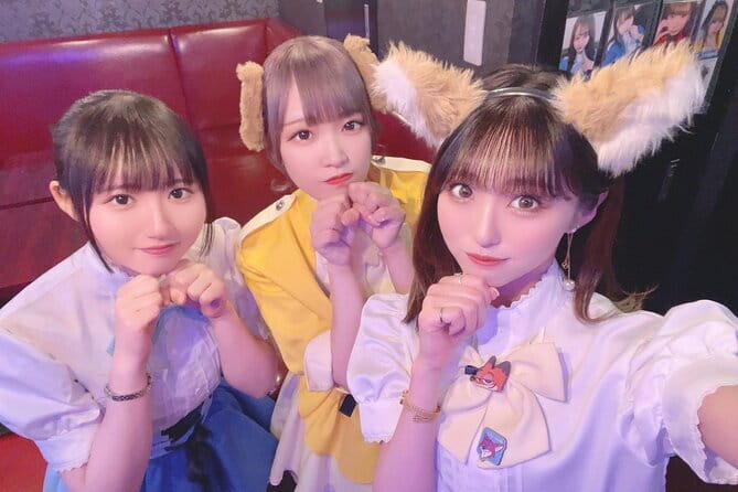 Private Akihabara Retro Tokyo Anime Game Maid Cafe Tour w/ pickup - Why this Akihabara tour works best with a clear hobby in mind